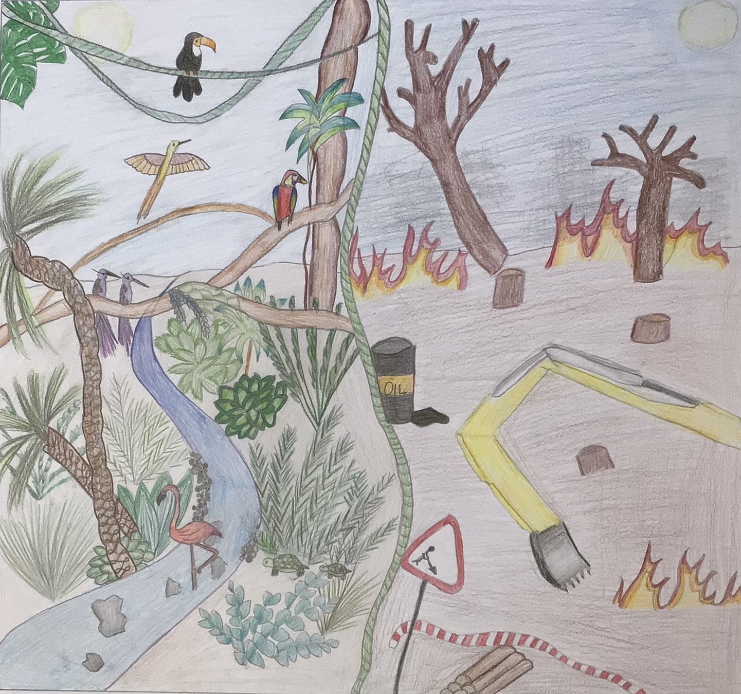 Bild Bagger zerstört Regenwald