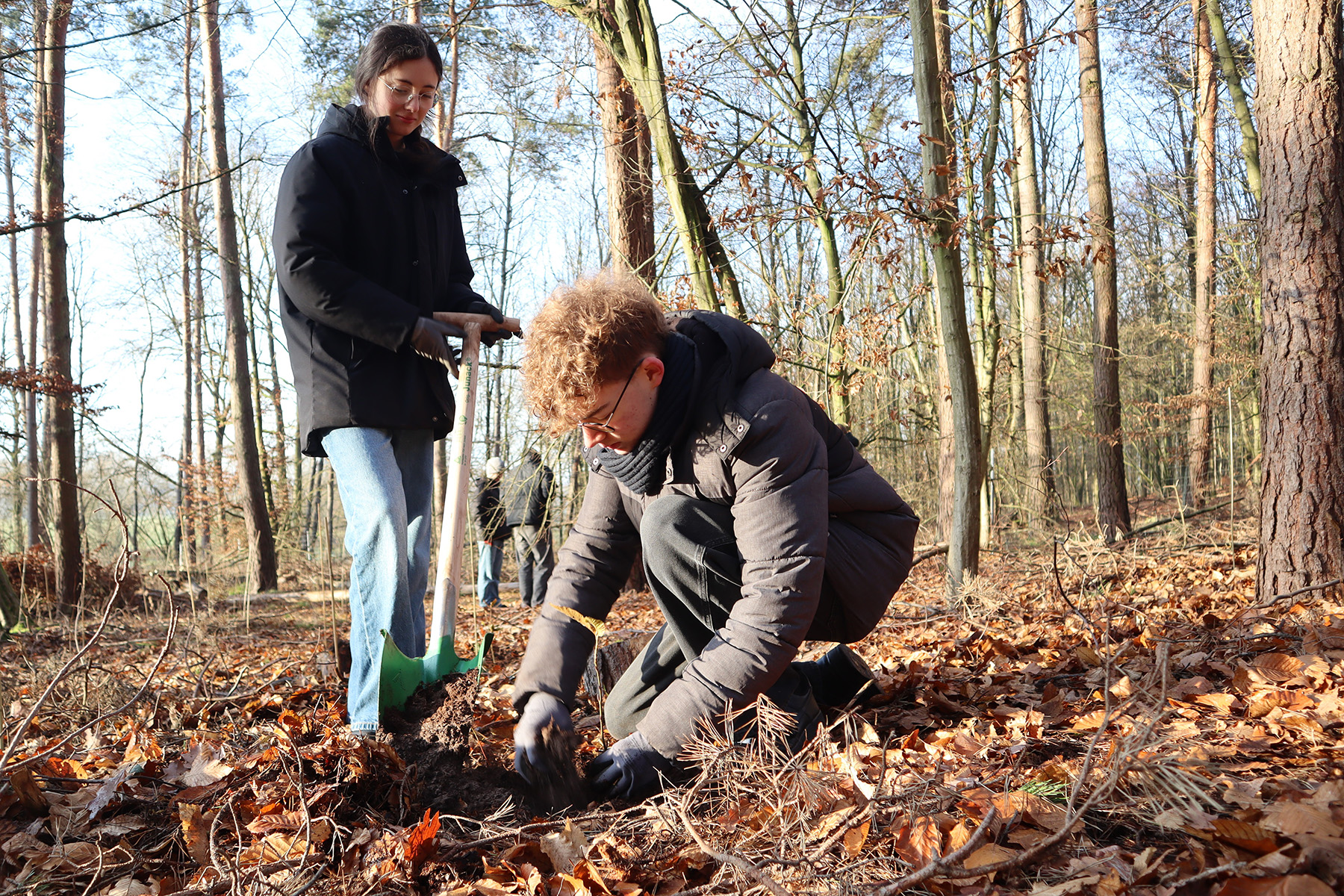 Schüler und Schülerin im Wald beim Bäumepflanzen