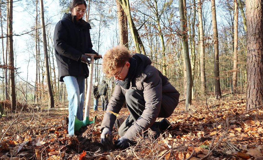 Schüler und Schülerin im Wald beim Bäumepflanzen
