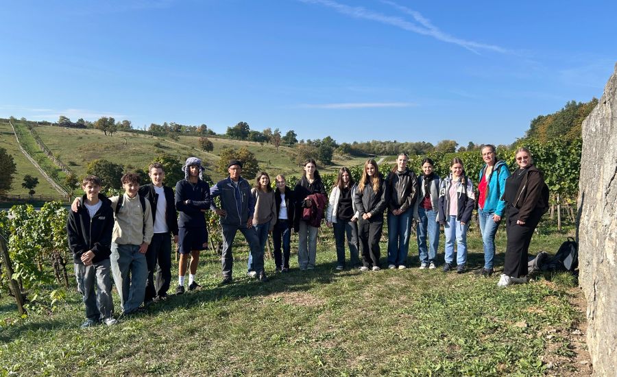 Gruppe mit Schülern und Lehrkräften in den Weinbergen